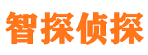 宁安市侦探调查公司